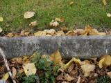 image of grave number 198896